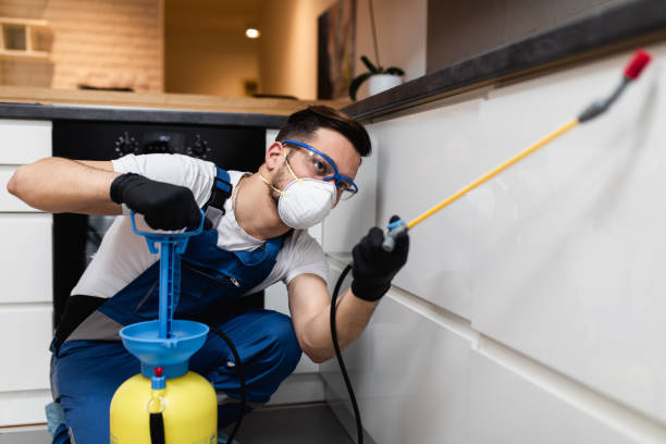 Best Flea Control Services  in York Harbor, ME