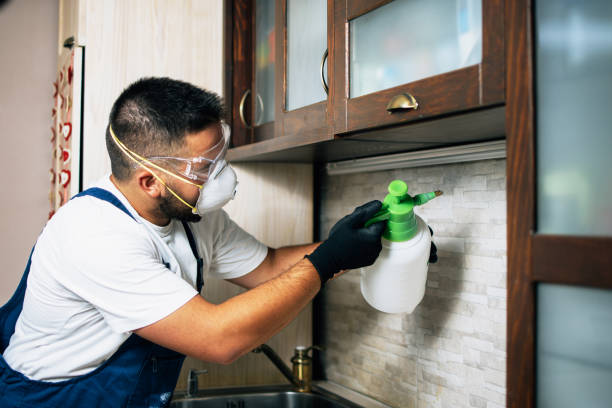 Best Emergency Pest Control  in York Harbor, ME
