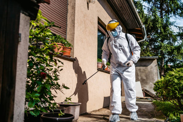 Best Mosquito Control Services  in York Harbor, ME
