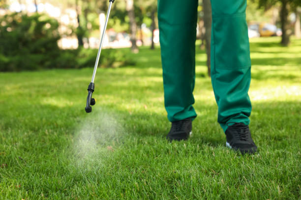 Flea Control Services in York Harbor, ME