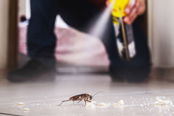 Best Best Pest Control Companies  in York Harbor, ME