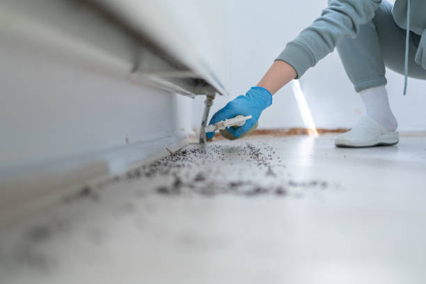Best Wildlife Control Services  in York Harbor, ME